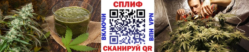 купить сайты Кызыл Печенье с ТГК конопля