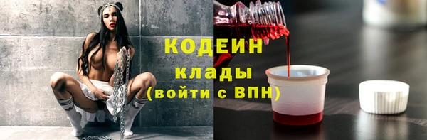 ECSTASY Гусь-Хрустальный