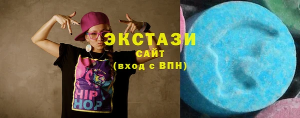 ECSTASY Гусь-Хрустальный