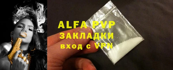 ECSTASY Гусь-Хрустальный
