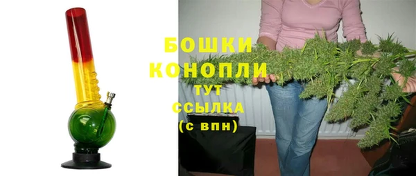 ECSTASY Гусь-Хрустальный