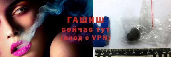 ECSTASY Гусь-Хрустальный
