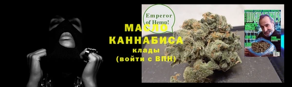 ECSTASY Гусь-Хрустальный
