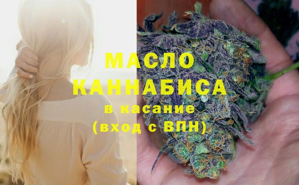 ECSTASY Гусь-Хрустальный