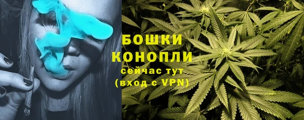 ECSTASY Гусь-Хрустальный