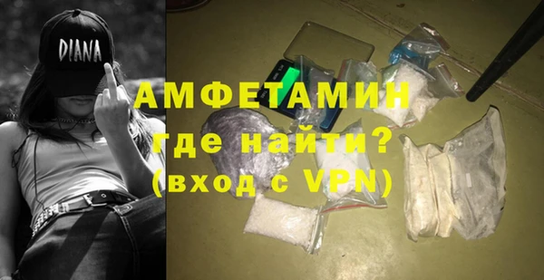 ECSTASY Гусь-Хрустальный