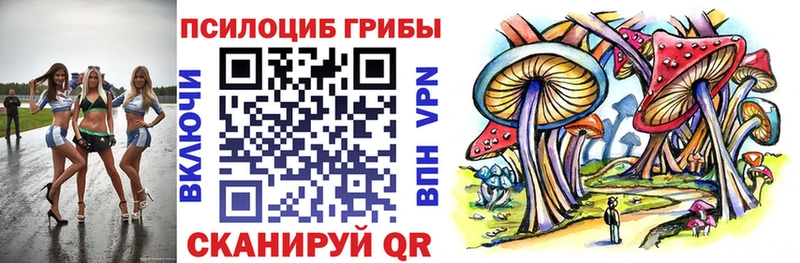 Псилоцибиновые грибы GOLDEN TEACHER Кызыл