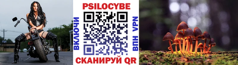 Псилоцибиновые грибы Psilocybe  Кызыл 